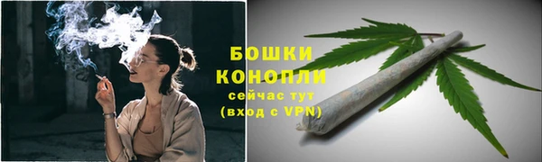 Альфа ПВП Бугульма